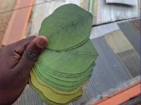 Coasters